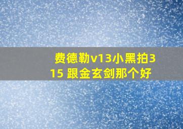 费德勒v13小黑拍315 跟金玄剑那个好